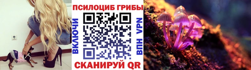 Псилоцибиновые грибы MAGIC MUSHROOMS  Электросталь 