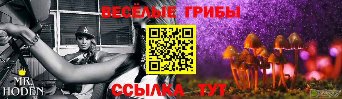 Галлюциногенные грибы мицелий  Вход с VPN  Электросталь 